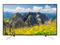 Телевизори Sony KD-43XF7596