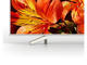 Телевизори Sony KD-49XF8577