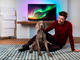 Телевизори Philips 65OLED873