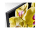 Телевизори Sony KD-43XG8096
