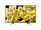Телевизори Sony KD-65XG8096B