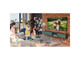 Телевизори Samsung 55Q60A