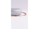 Колони Bang & Olufsen Beosound A1 2nd.Gen Nordic Ice - OTG