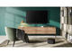 Телевизори Loewe bild i 48 dr+