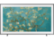 Телевизори Samsung 65LS03BG