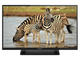Телевизори Panasonic TX-32A400E