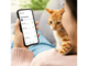 Smart Home Philips Smart Feeder 3000 - Интелигентна хранилка за домашни любимци 