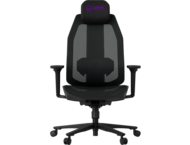 Геймърски столове LORGAR CHP51, Black-Purple
