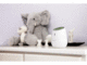 IP камери Belkin WeMo Baby Monitor